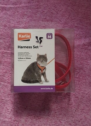 Kedi Tasması