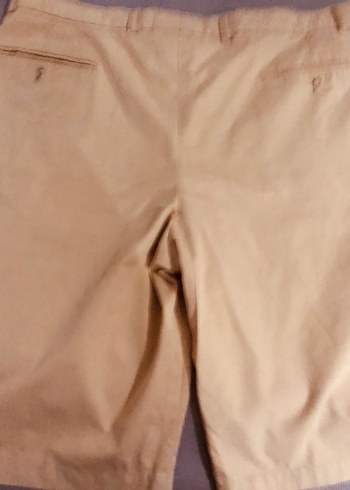 Sabri özel Regular Fit Erkek şort - Görsel 2