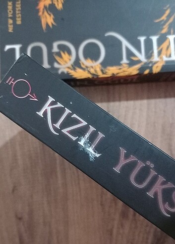  kızıl yükseliş altın oğul