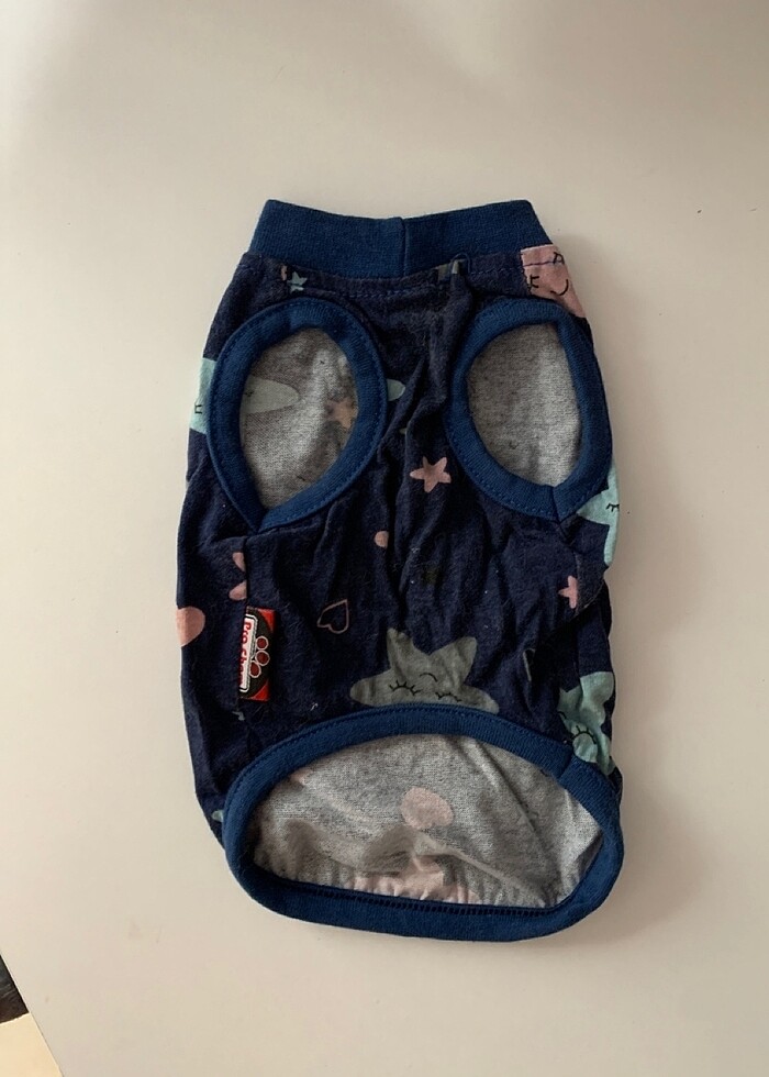 kedi kıyafeti - Görsel 2