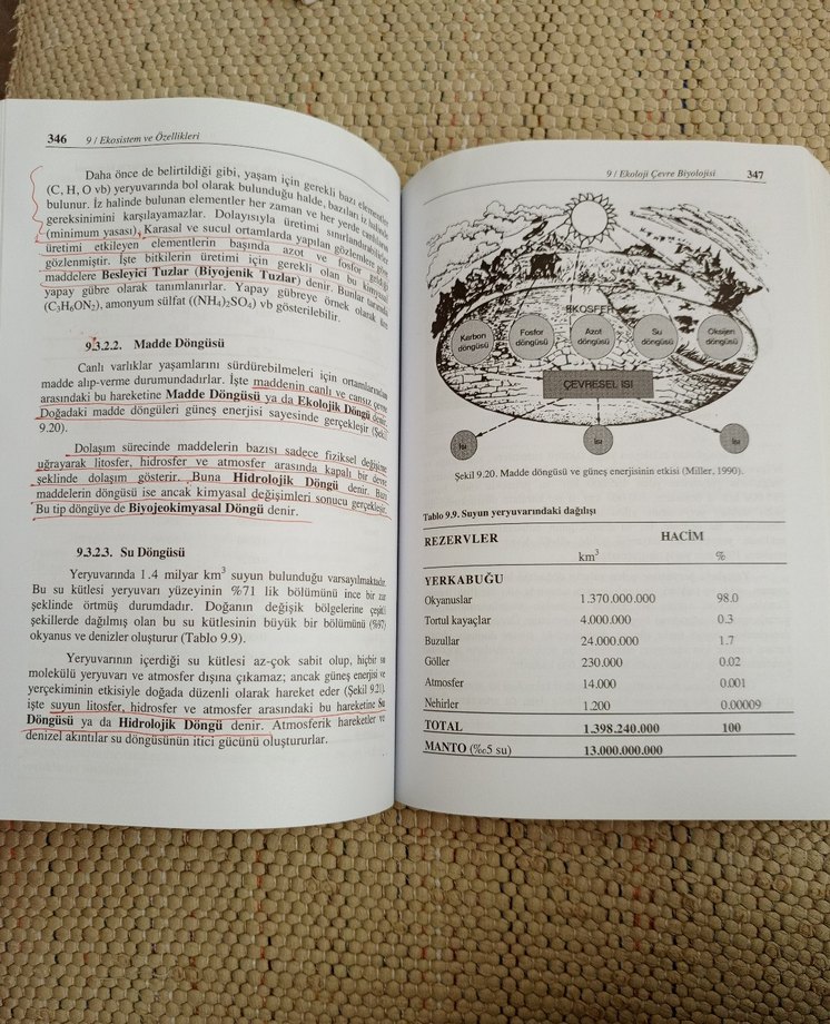 Ekoloji Çevre Biyolojisi - Ahmet Kocataş - Görsel 2