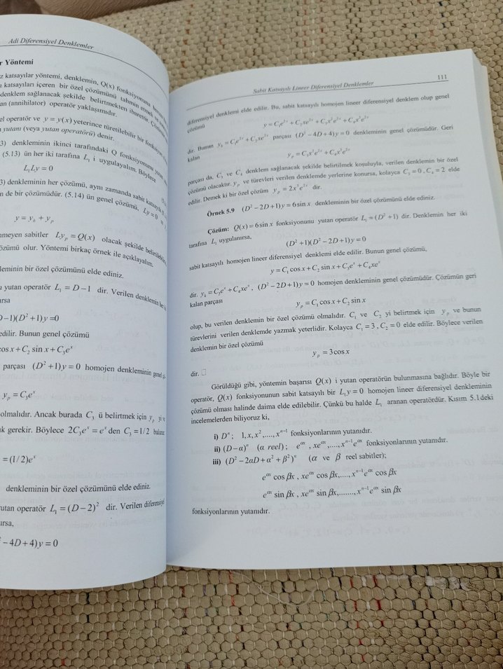Adi Diferensiyel Denklemler Kitabı - Görsel 4