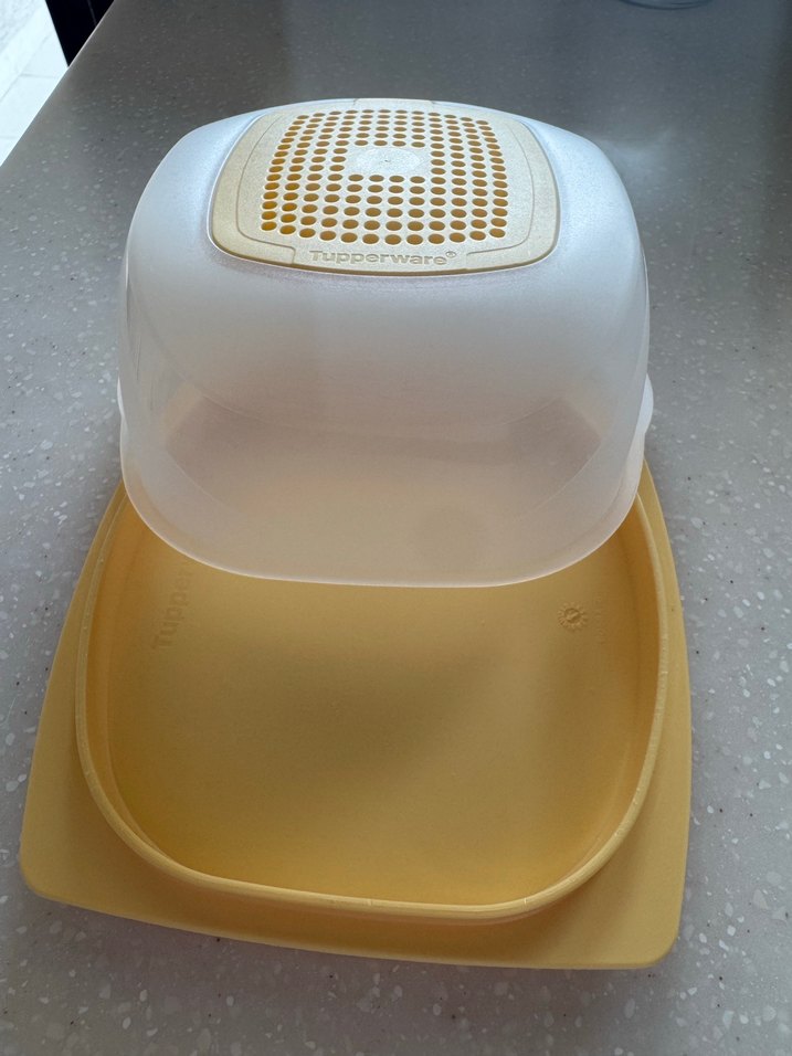 Tupperware peynir saklama kabı - Görsel 2