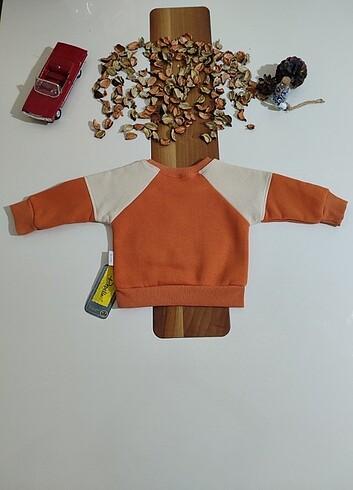 6 Ay Beden Pooh bear baskılı bebek takımı