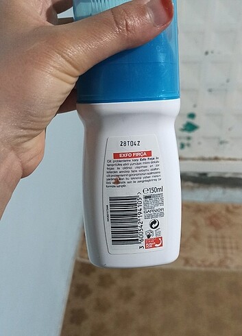 Garnier Sabunlu fırça yüz temizleyicisi