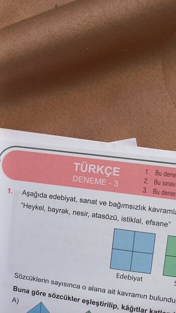Beden Renk Fasikül lgs testler