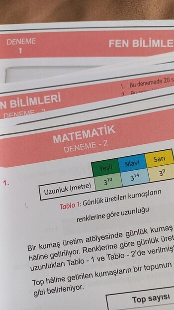 Fasikül lgs testler