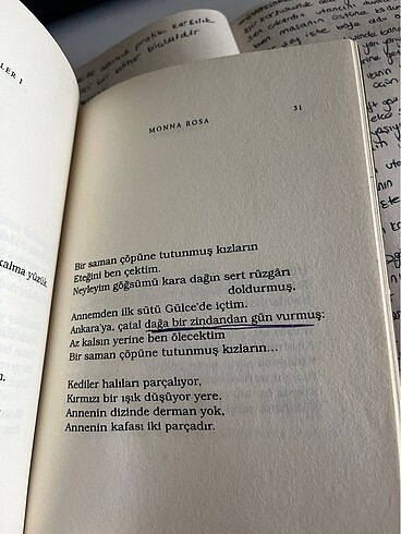 Monna rosa - Görsel 2