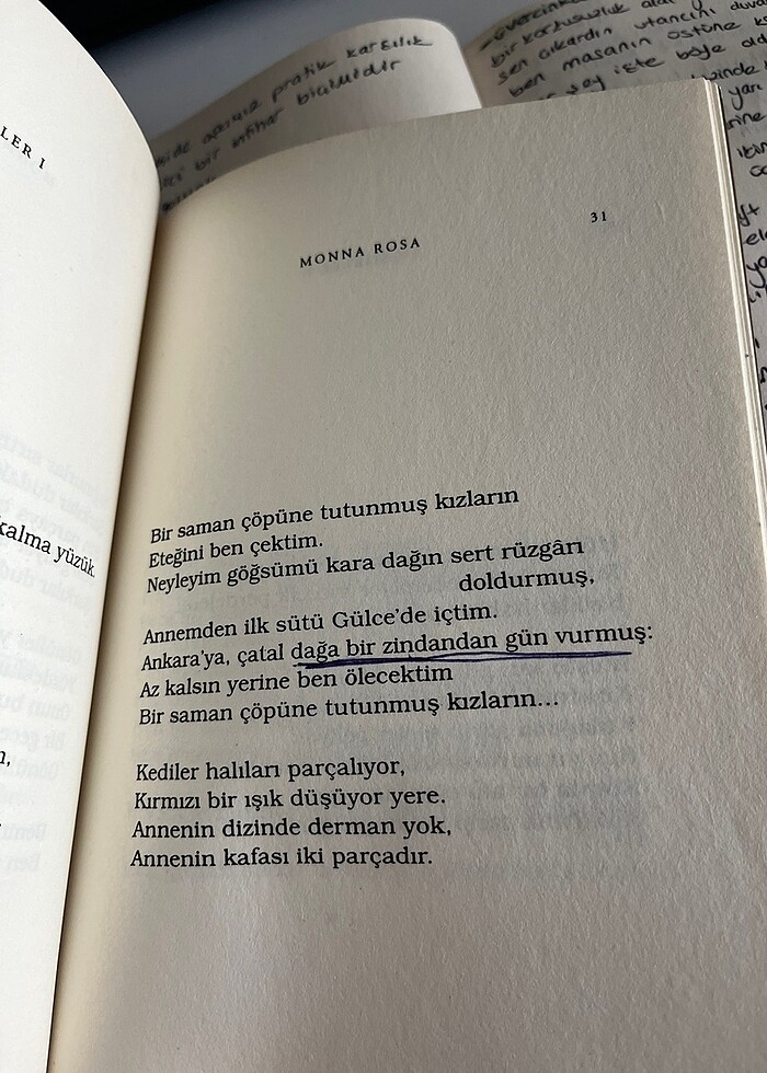 Monna rosa - Görsel 2