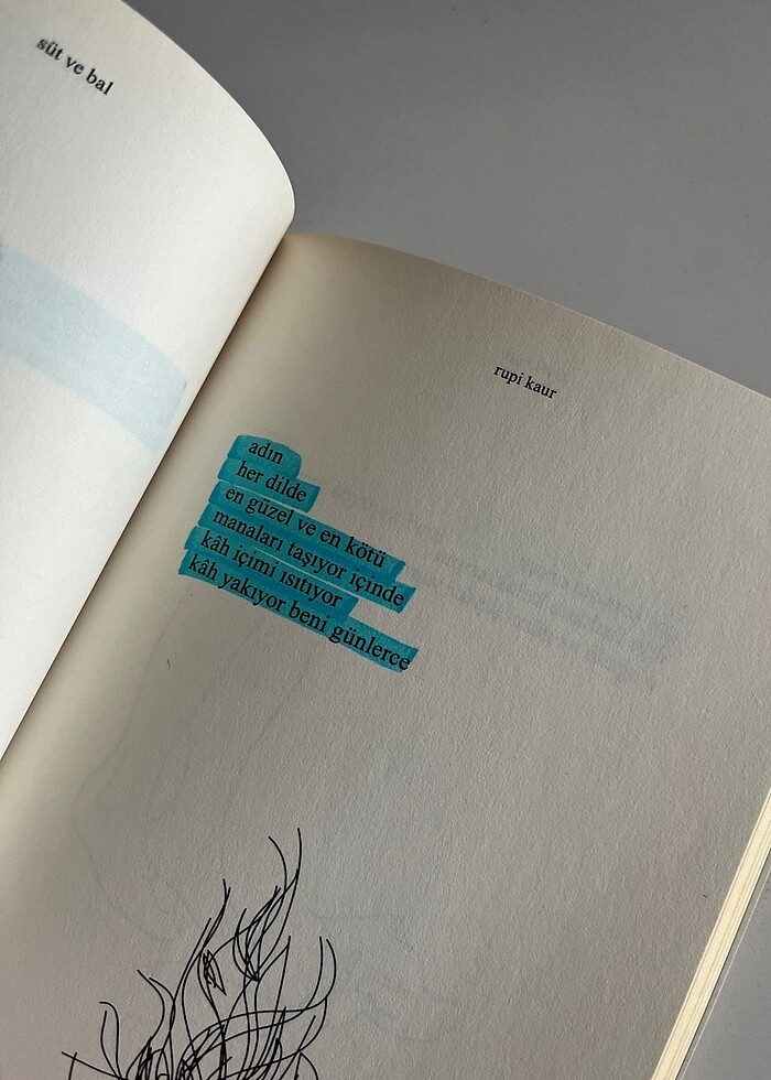 Rupi kaur süt ve bal - Görsel 3