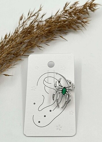Beden Çelik örümcek kıkırdak küpe earcuff