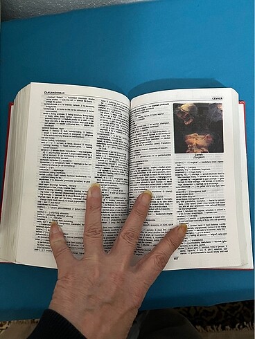 Red House Sözlük - Görsel 7