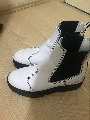 Puma bot