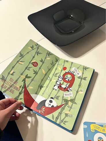 Bebek Fotoğraf Albümü/Bebek aylık anı kartı - Görsel 10