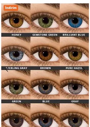 Diğer FreshLook Aesthetics PTIX Colors Sanat Kitabı