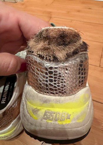 Golden gosse - Görsel 2