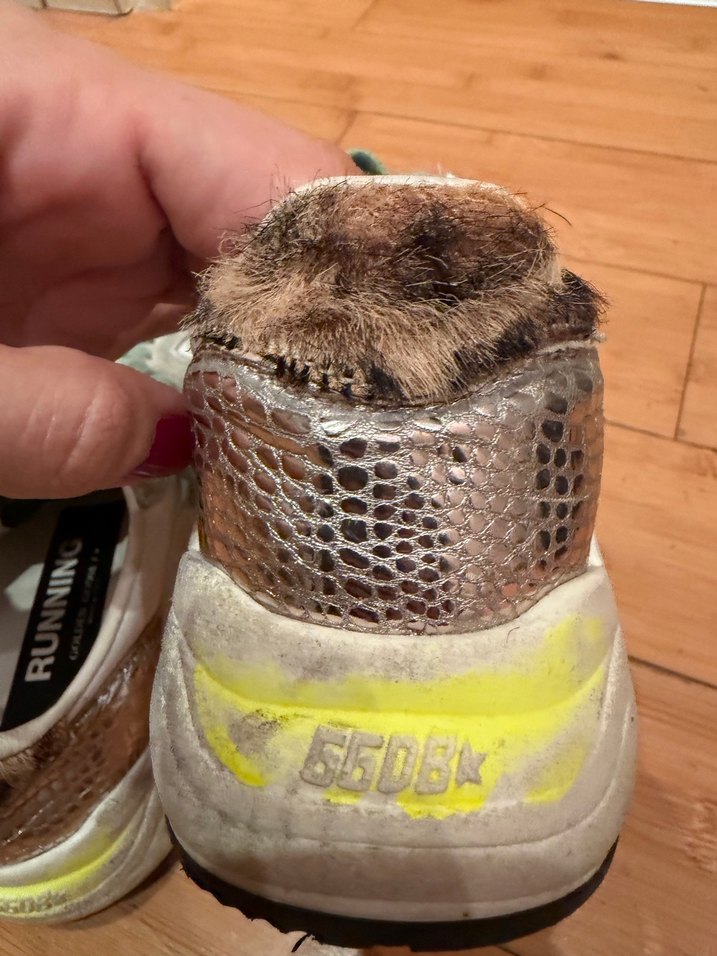 Golden gosse - Görsel 2