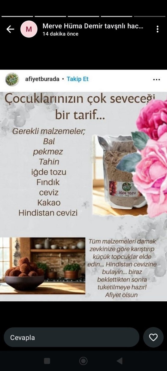 İğde Çekirdeği Tozu - Hücre Yenileyici - Görsel 2