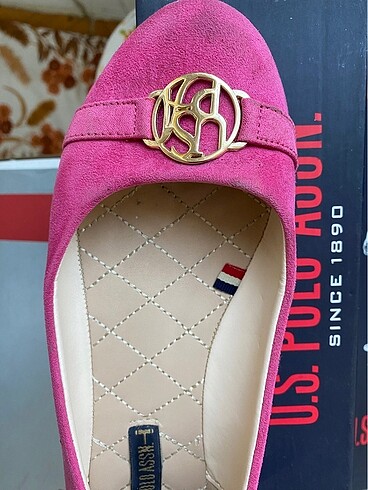 Us polo babet
