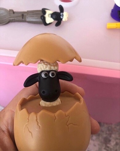  Beden Koyun shaun
