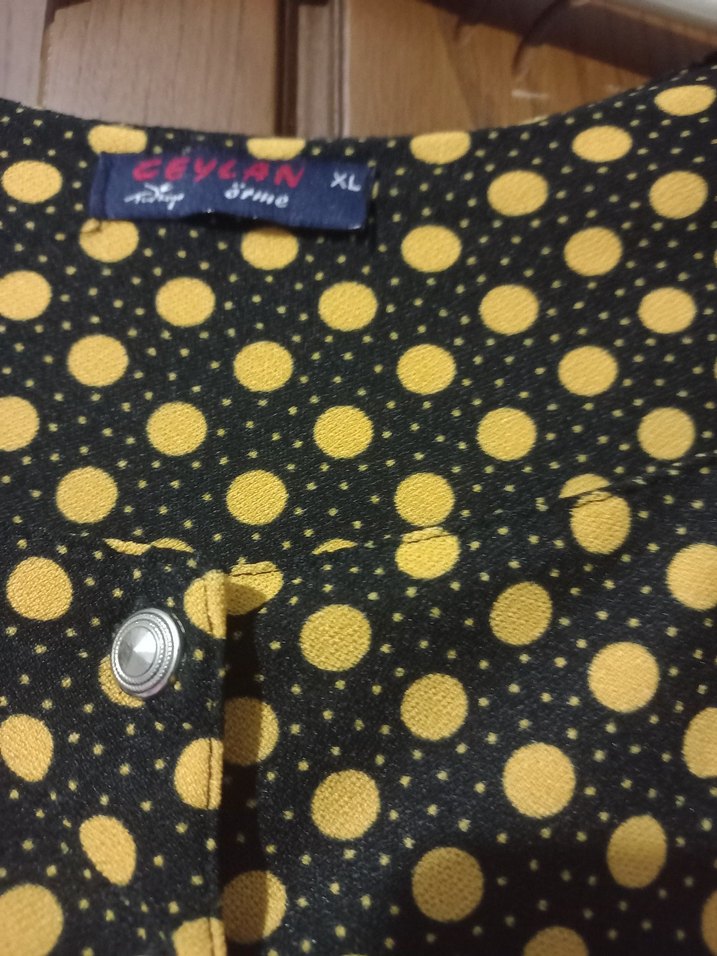 Düğmeli Uzun Kollu Puantiyeli Kadın Elbise - Görsel 3