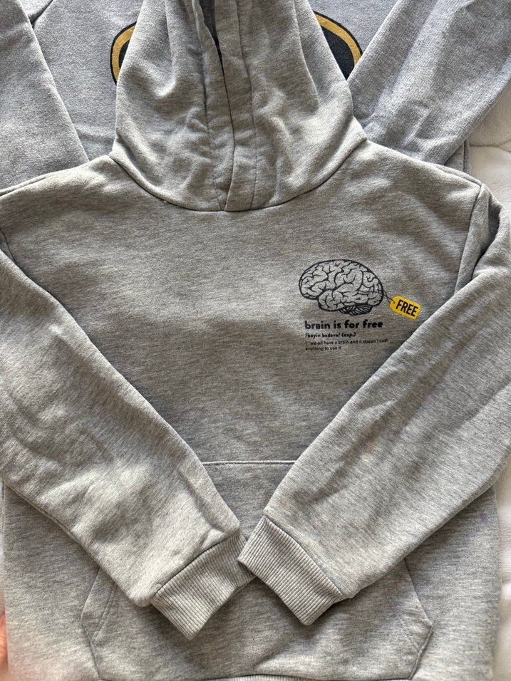 Erkek Çocuk Gri Kapüşonlu Sweatshirt 2 Li - Görsel 2