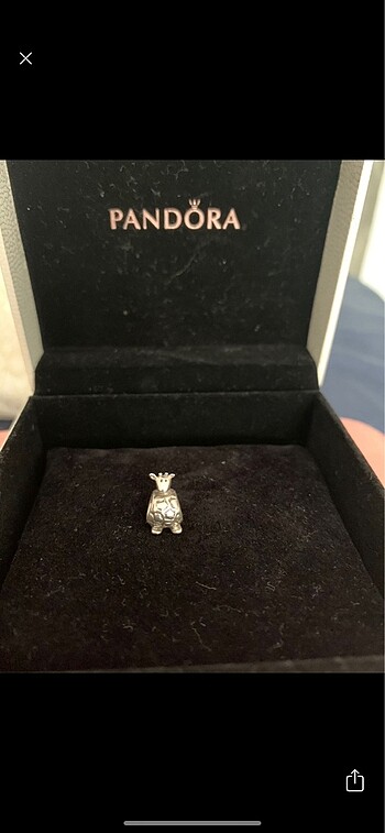 Pandora