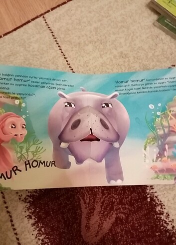 Beden Renk Hareketli kitap