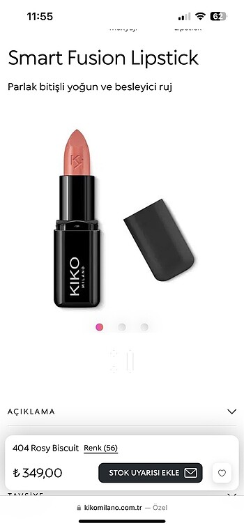 Kiko Smart Fusion Lipstick 404