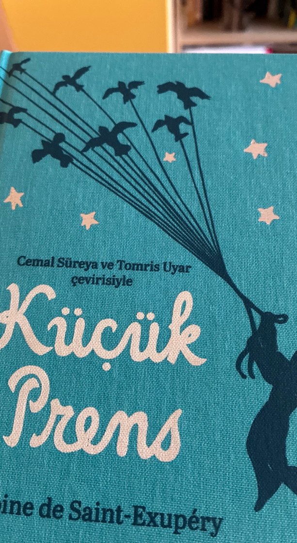Küçük Prens - Cemal Süreya ve Tomris Uyar Çevirisi - Görsel 4