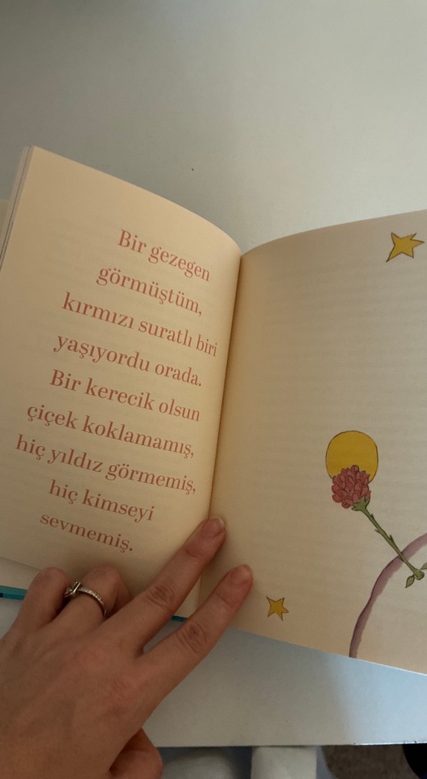 Küçük Prens - Cemal Süreya ve Tomris Uyar Çevirisi - Görsel 2