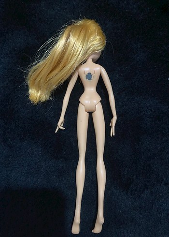 Beden Renk Winx Stella