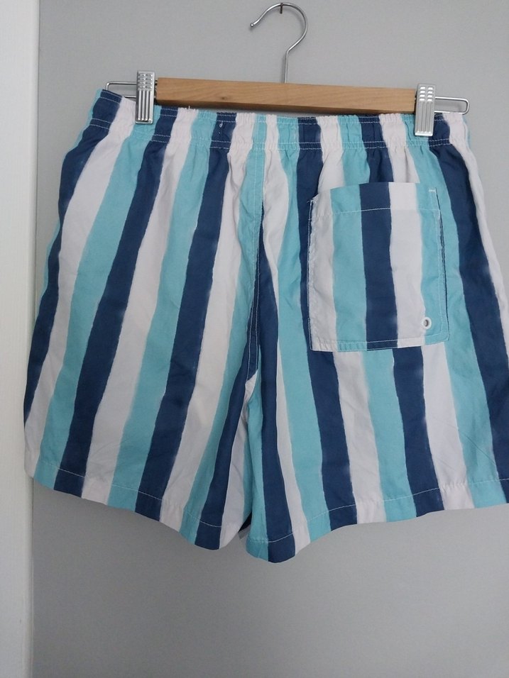 Mavi Çizgili Pliseli Erkek Mini Şort - Görsel 3