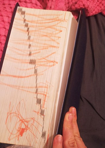 Türkçe Sözlük - Türk Dil Kurumu Yayınları 2011 - Görsel 5