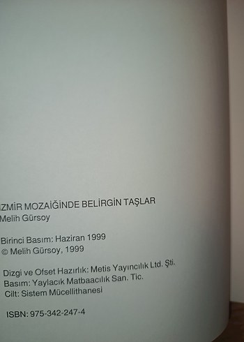 İzmir Mozağinde Belirgin Taşlar - Melih Gürsoy