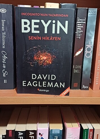 Beyin
