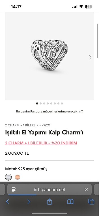 Beden Pandora Kalp Charm