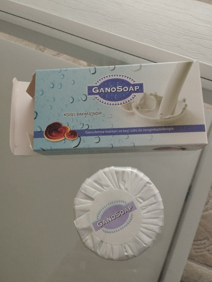 Ganosoap Yuvarlak Sabun - Görsel 2