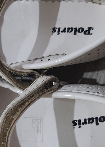 Polaris babet - Görsel 2