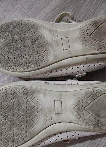 Polaris babet - Görsel 3