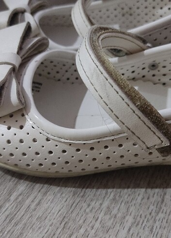 Polaris babet - Görsel 4