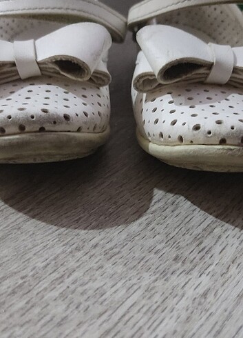 Polaris babet - Görsel 5