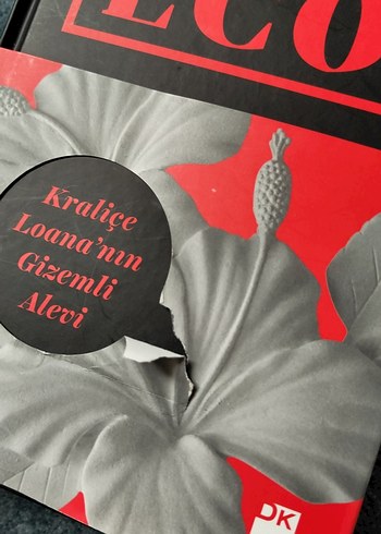 Umberto Eco - Kraliçe Loana'nın Gizemli Alevi - Görsel 5