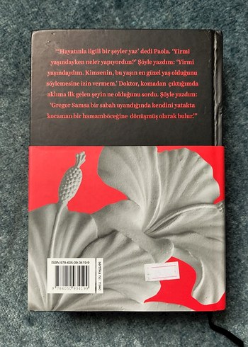 Umberto Eco - Kraliçe Loana'nın Gizemli Alevi - Görsel 2