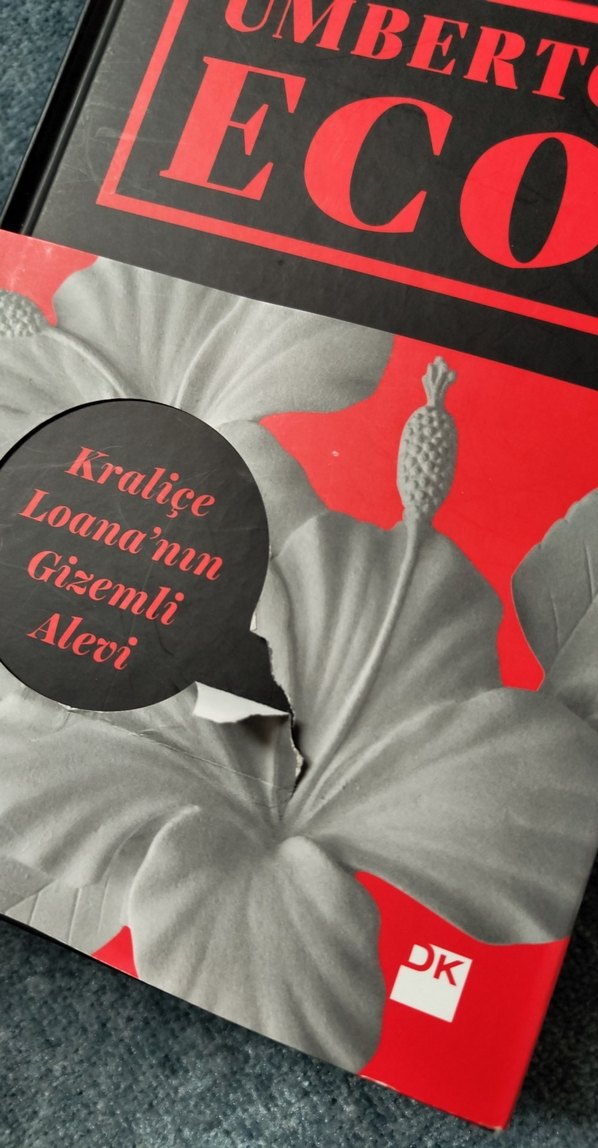 Umberto Eco - Kraliçe Loana'nın Gizemli Alevi - Görsel 5