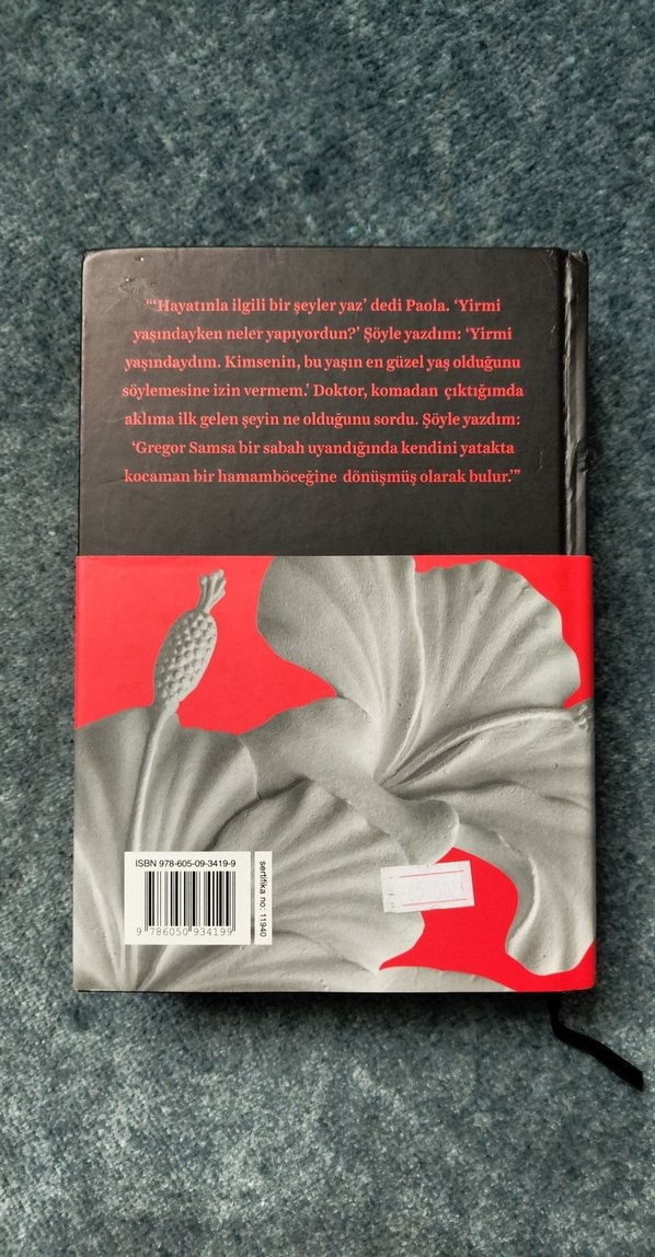 Umberto Eco - Kraliçe Loana'nın Gizemli Alevi - Görsel 2