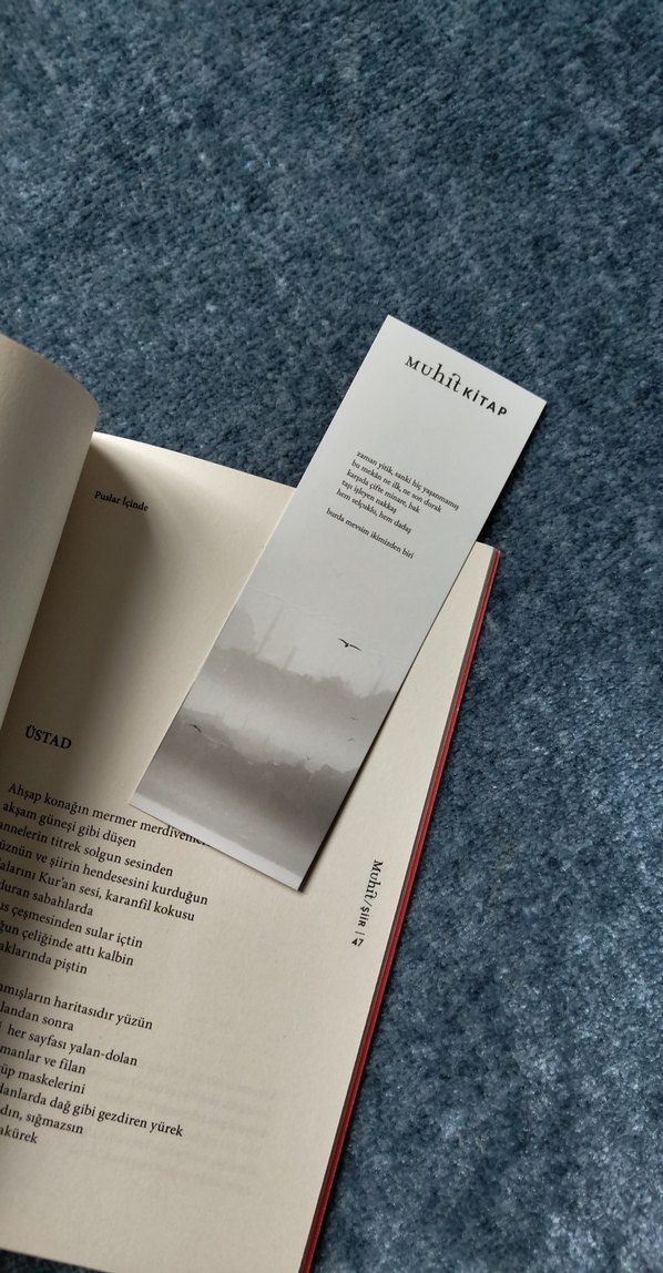 Puslar İçinde - Arif Ay - Görsel 3