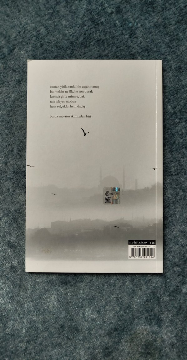 Puslar İçinde - Arif Ay - Görsel 2