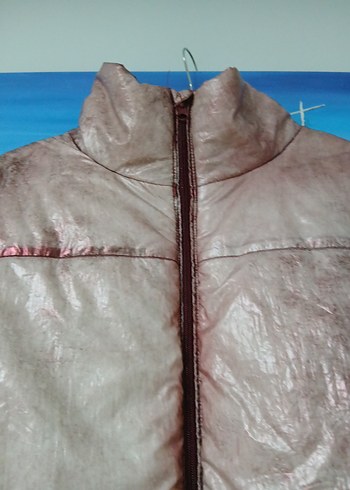 Parlak Pembe Kadın Fermuarlı Ceket - Görsel 4