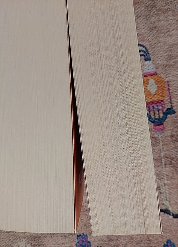  Beden diana gabaldon, ateşin çağrısı, kehribardaki yusufçuk